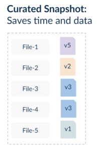 Curated snapshot saves time and data