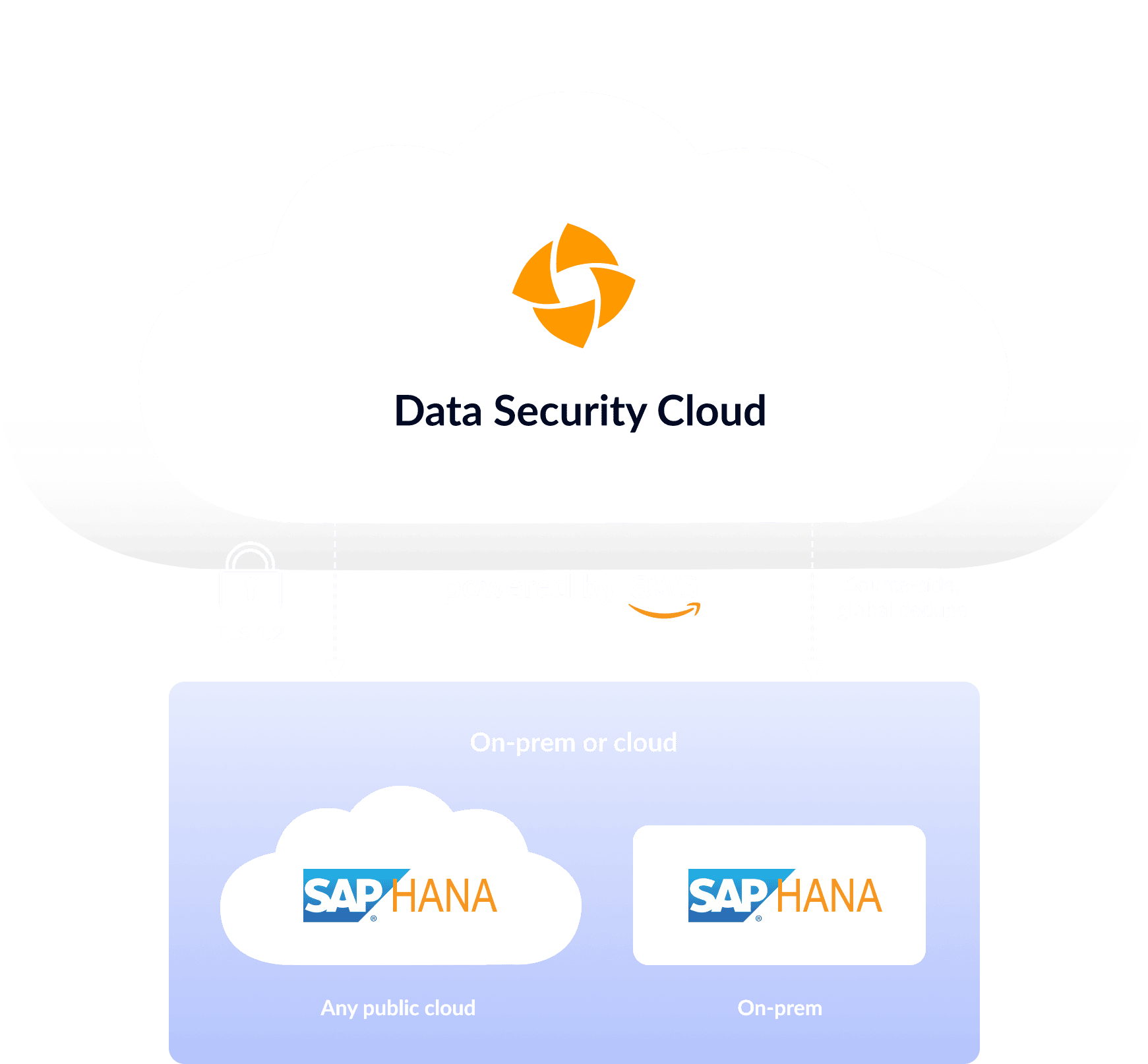 Air-tight Backups in the Druva Cloud