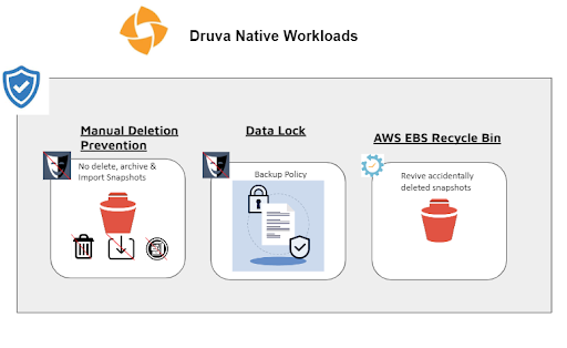 Druva native workloads