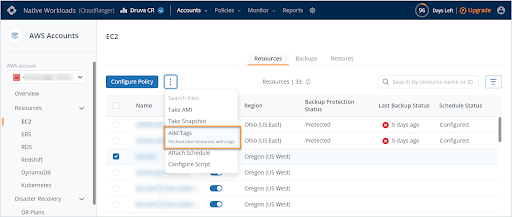 Druva CloudRanger console resources EBS