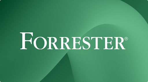 Druva is a Strong Performer in The Forrester Wave™: Data Resilience Solutions, Q4 2024