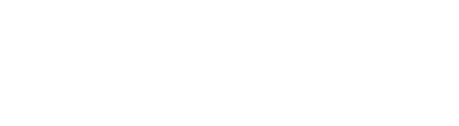 netapp logo