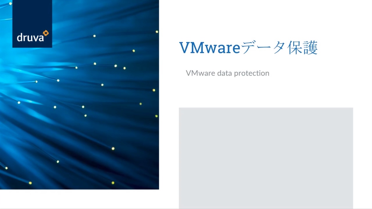 VMwareデータ保護